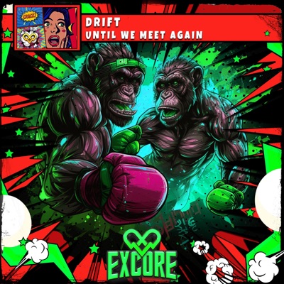 UNTIL WE MEET AGAIN (Radio Edit) - Single