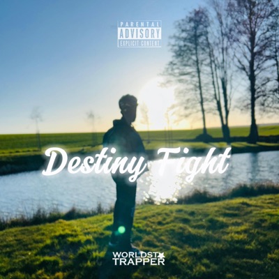 Destiny Fight - Single