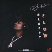 Bleepy Flow - Single - CHUCKSTAAA