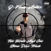 Two Birds and One Stone - Single - J-Flow Antes
