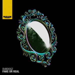 Fake or Real - Single