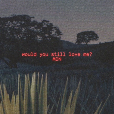 would you still love me? - Single