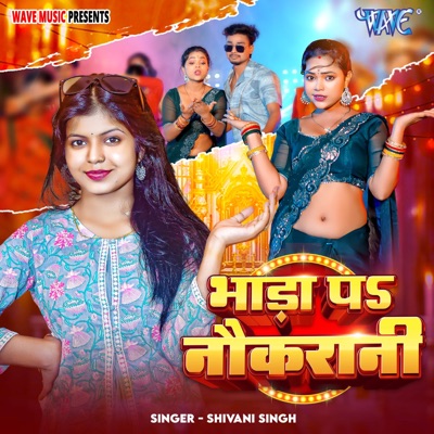 Bhada Pa Nokrani - Single