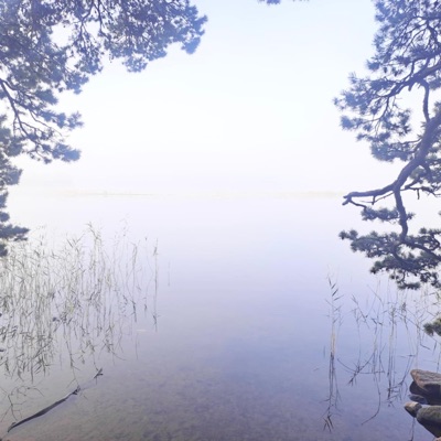 Finding My Way (feat. Richard Olausson) - Single