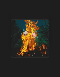 bkbrazyを聴いたり、ミュージックビデオを鑑賞したり、経歴やツアー日程などを確認したりしましょう！