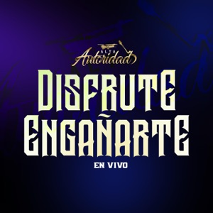 Disfruté Engañarte