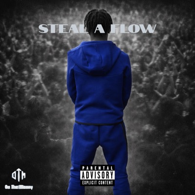 Steal A Flow - Single