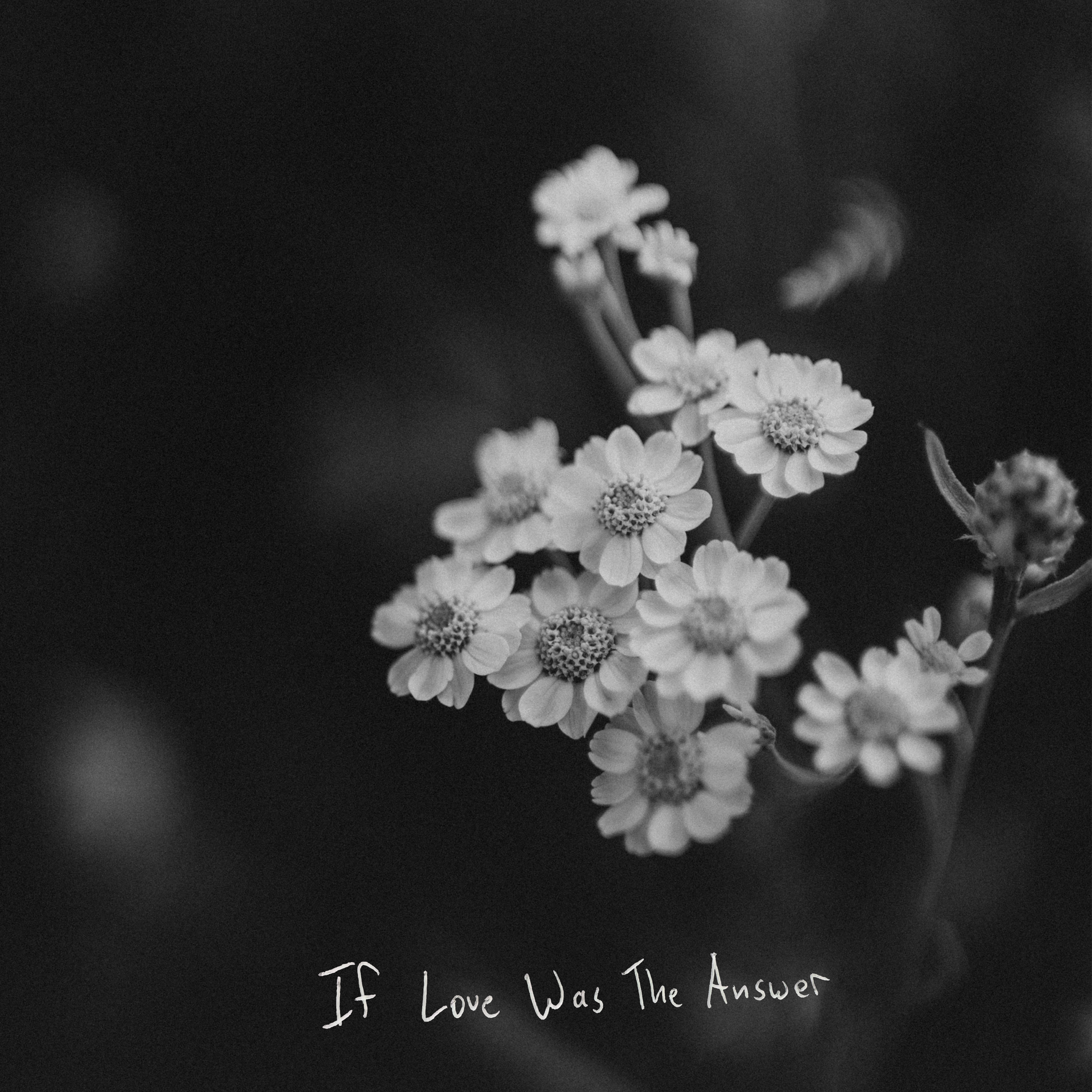 If Love Was the Answer - Single