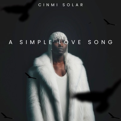 a simple love song - Single