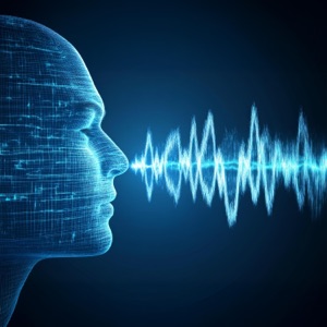 Sonic Sinus Support