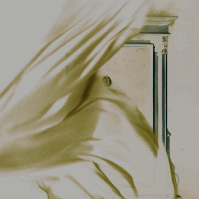 zipper - Single