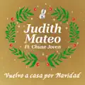 Vuelvo a casa por navidad