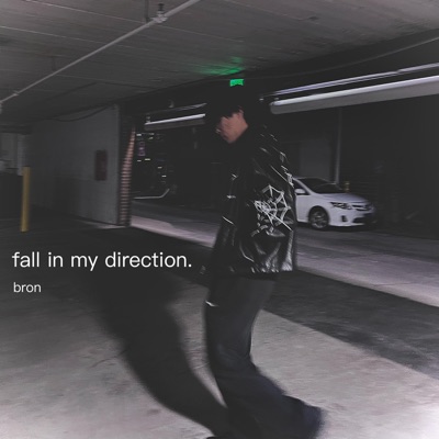 Fall In My Direction - Single