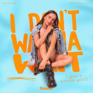 I Don't Wanna Wait