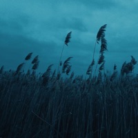 all i have is yesterday - Single - Noctyrn, lostsoul001 & Noctyrnal Records