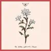 The Christmas Waltz of the Flowers