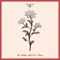 The Christmas Waltz of the Flowers