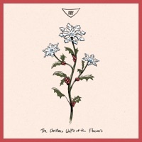 The Christmas Waltz of the Flowers - Single - Cody Fry