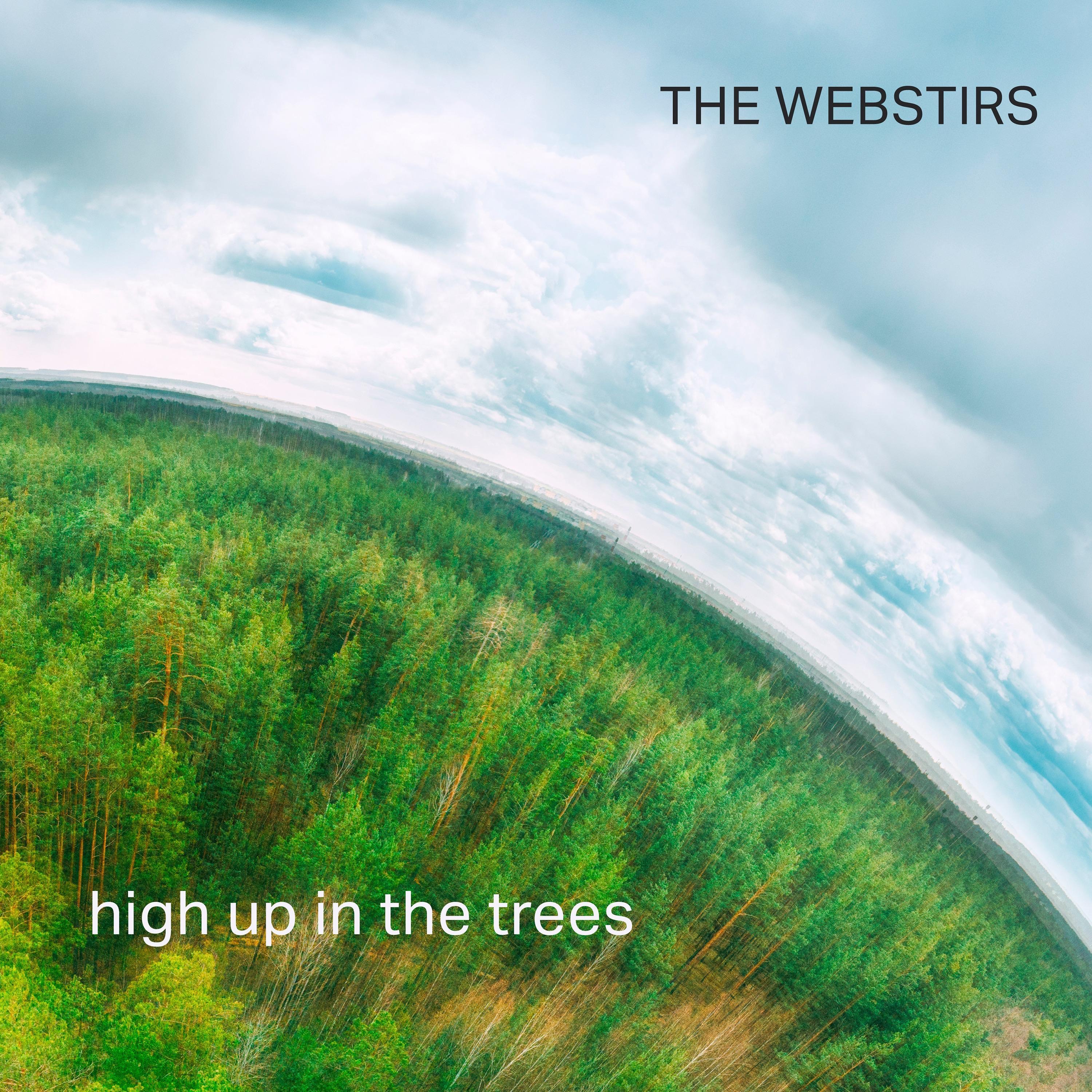 High Up in the Trees
