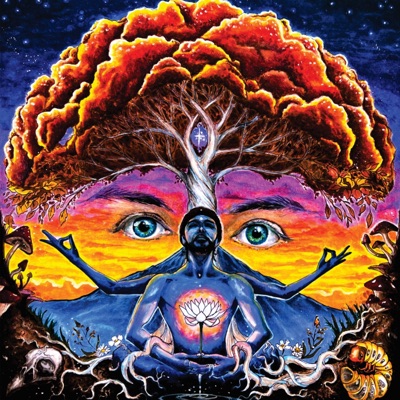 Wisdom of the Mountains - Single