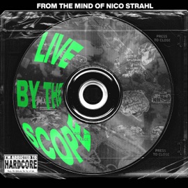 Big Birdz (feat. Sailorgenki) [Live] HORRORSCOPE