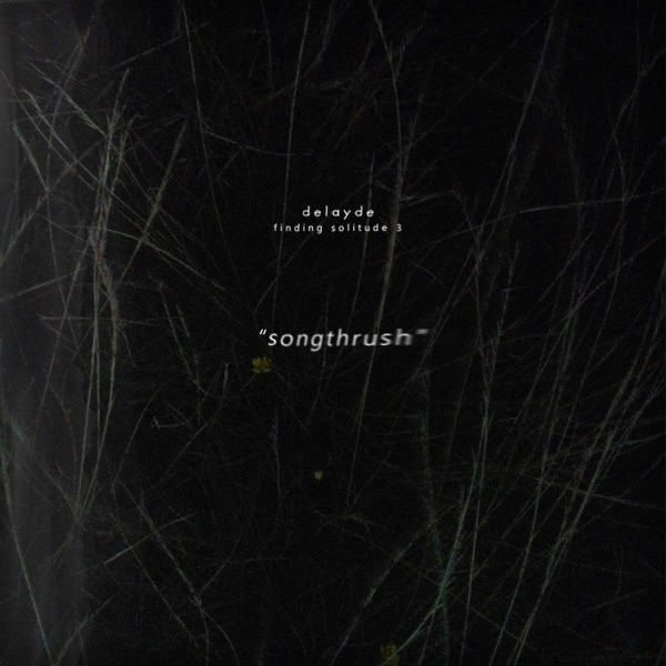 songthrush - Single