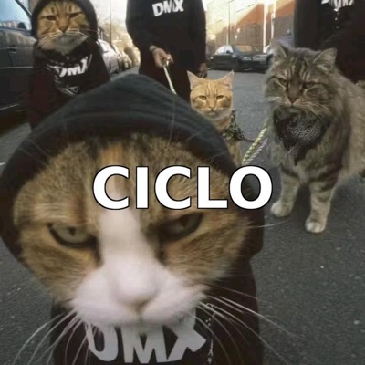 CICLO - Single