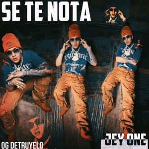 Se Te Nota