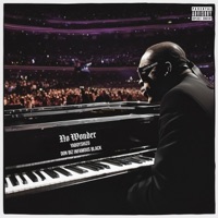 No Wonder (feat. Don Biz Infamous Black) - Single - YaBoyShizo