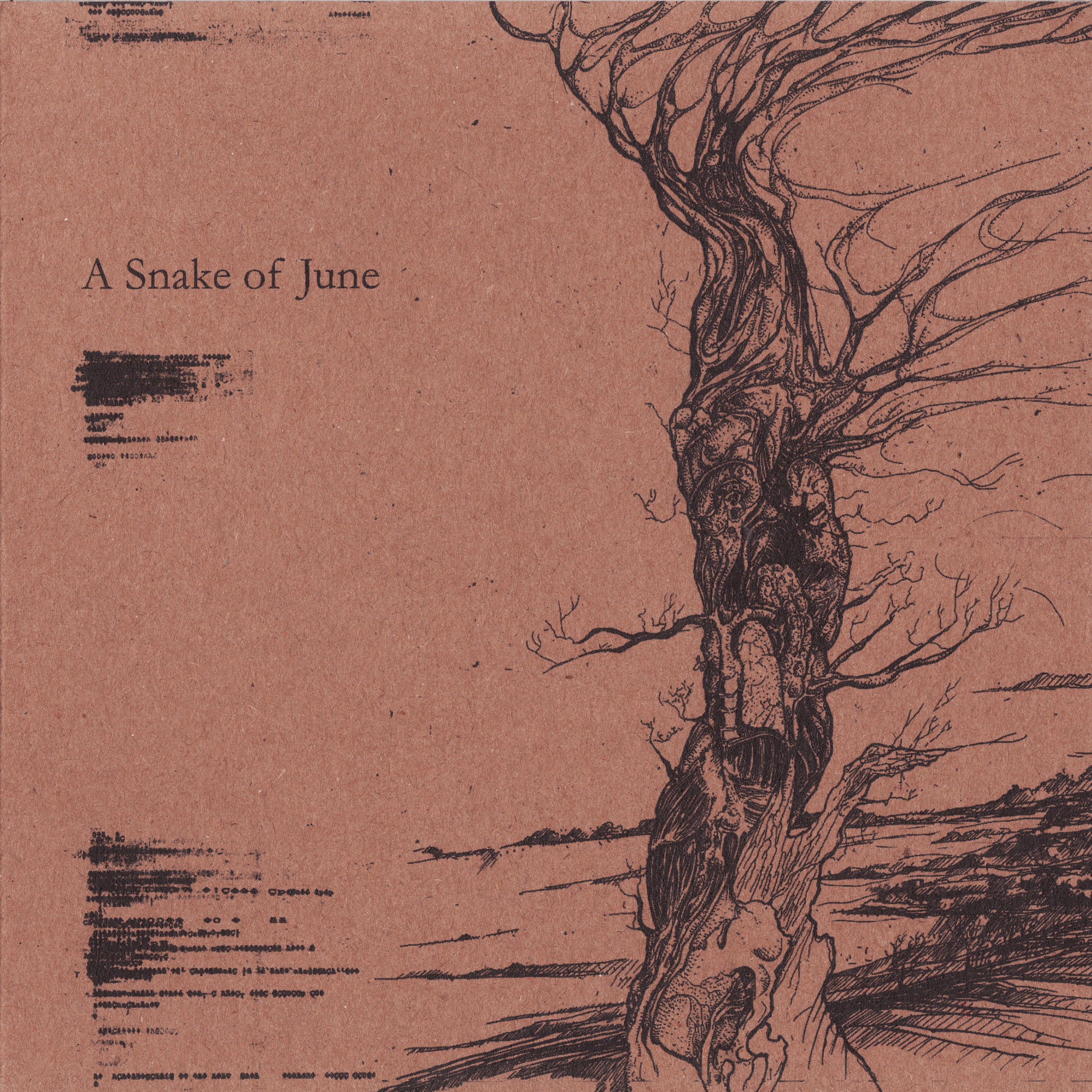 A Snake Of June - EP