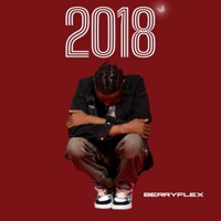 2018 - Single - Berryflex