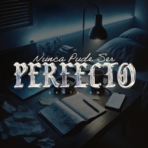 Nunca Pude Ser Perfecto