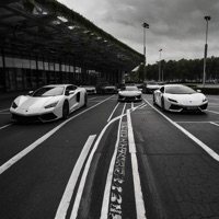 Wanna Know - Single - cvrbon & Butch U