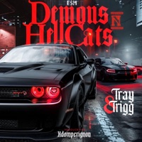 Demons N Hellcats - Single - Tray 8 Trigg