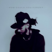 How Could You Forget - Freddy Leone & Josif Grey