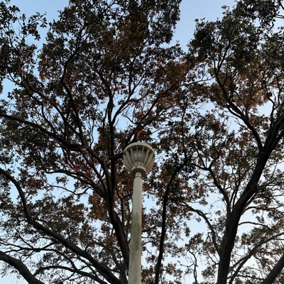 Souless (feat. Vvsmalibu) - Single