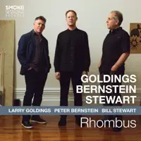 Dissipation Blues — Larry Goldings, Peter Bernstein, Bill Stewart