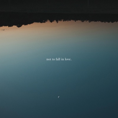 Not To Fall In Love - Single