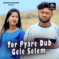 Tor Pyare Dub Gele Selem - Single - Pankaj Roy