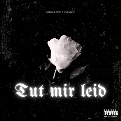 TUT MIR LEID (feat. Gmenez517) - Single