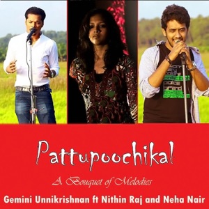 Pattupoochikal (feat. Nithin Raj & Neha Nair) - EP