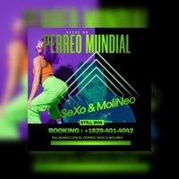 Sexo y Molineo (PERREO) - Single - Still Boa