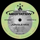 Meditation (jungle mixes)