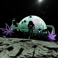 ALL IN - Single - KondziuU & sxvmi!