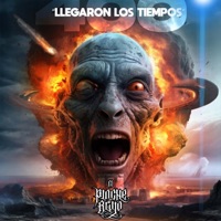 LLEGARON LOS TIEMPOS - Single - el pinche brujo