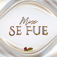 Mix Se Fue  Se Fue   La Soledad.