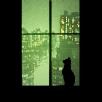 Dreaming Cat - Single - Conut