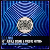 Hot Jungle Drums and Voodoo Rhythm (Ladies on Mars Extended Remix) artwork