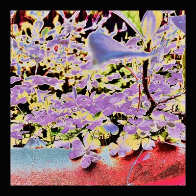 MOSS ON THE TREE - Single