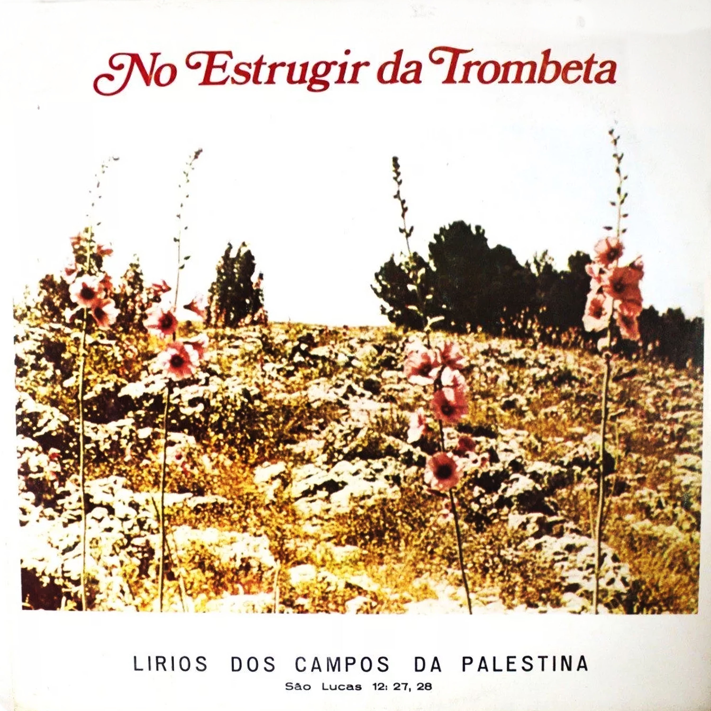 No Estrugir da Trombeta